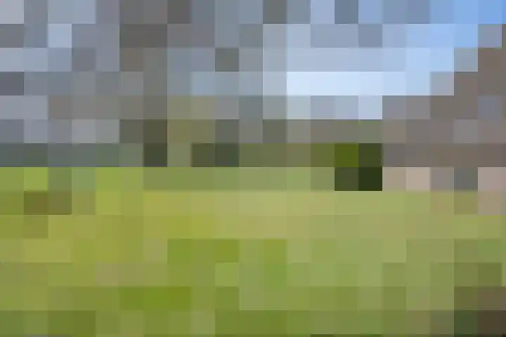 Wiersserbroekweg 2 Vorden thumbnail 10