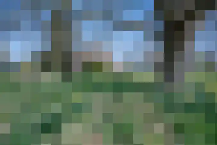 Wiersserbroekweg 2 Vorden thumbnail 11