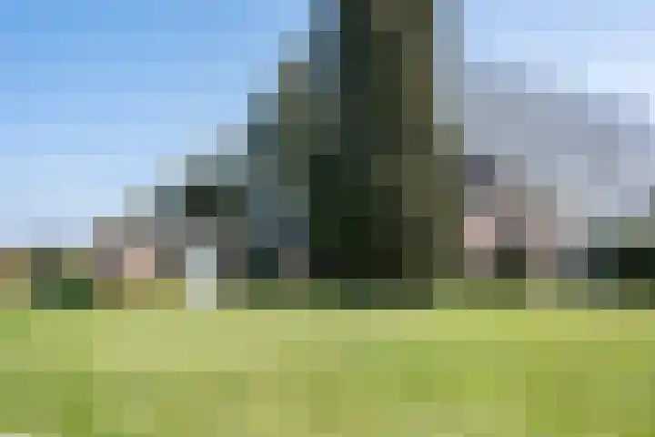 Wiersserbroekweg 2 Vorden thumbnail 12