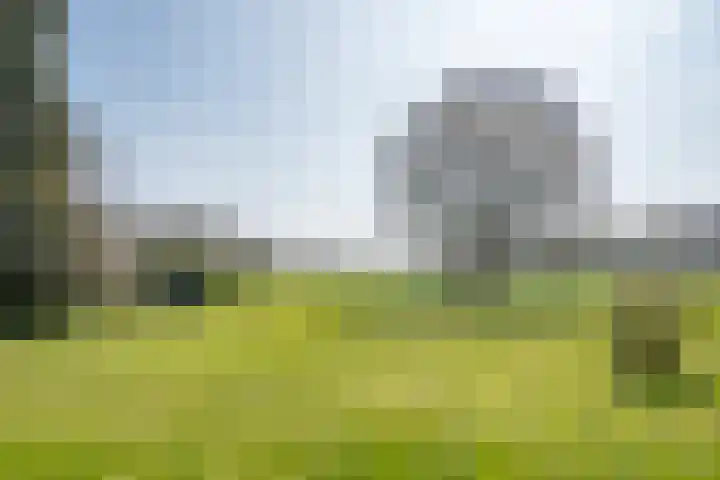 Wiersserbroekweg 2 Vorden thumbnail 13