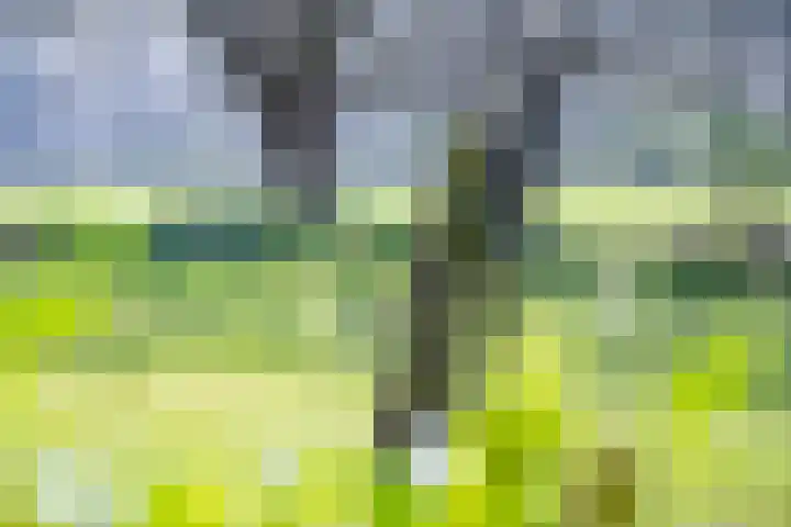 Wiersserbroekweg 2 Vorden thumbnail 14