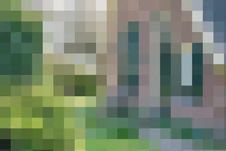 Wiersserbroekweg 2 Vorden thumbnail 15