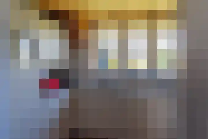 Wiersserbroekweg 2 Vorden thumbnail 21