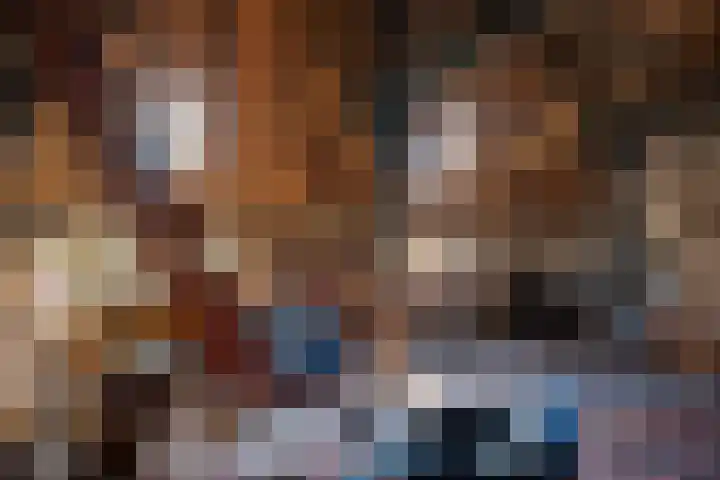 Wiersserbroekweg 2 Vorden thumbnail 32