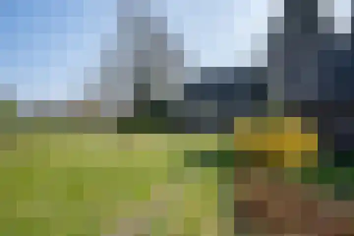 Wiersserbroekweg 2 Vorden thumbnail 36