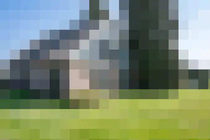 Wiersserbroekweg 2 Vorden thumbnail 40