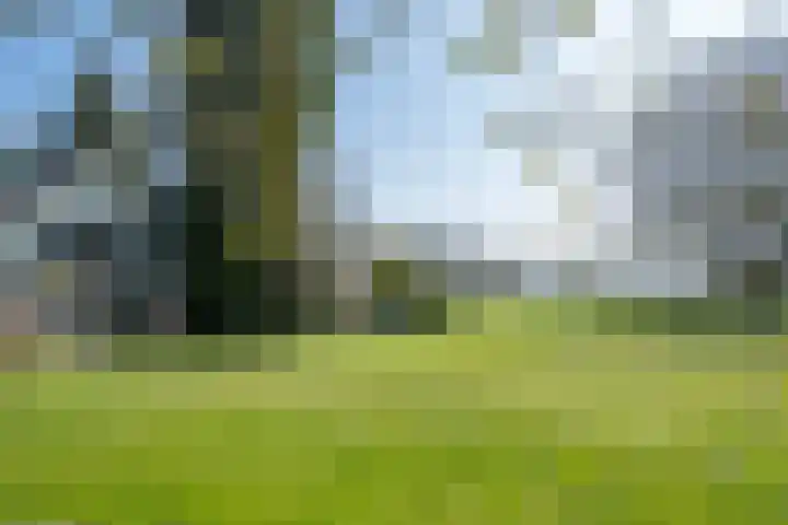 Wiersserbroekweg 2 Vorden thumbnail 49