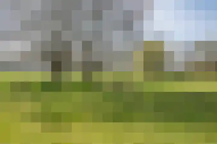 Wiersserbroekweg 2 Vorden thumbnail 50