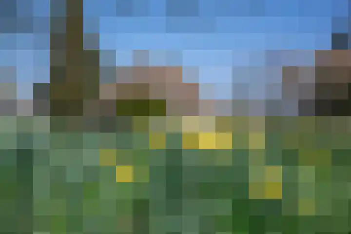 Wiersserbroekweg 2 Vorden thumbnail 52