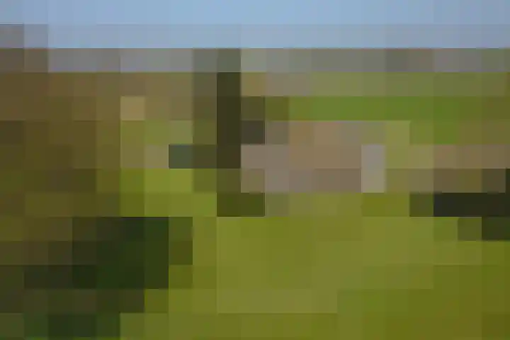Wiersserbroekweg 2 Vorden thumbnail 53
