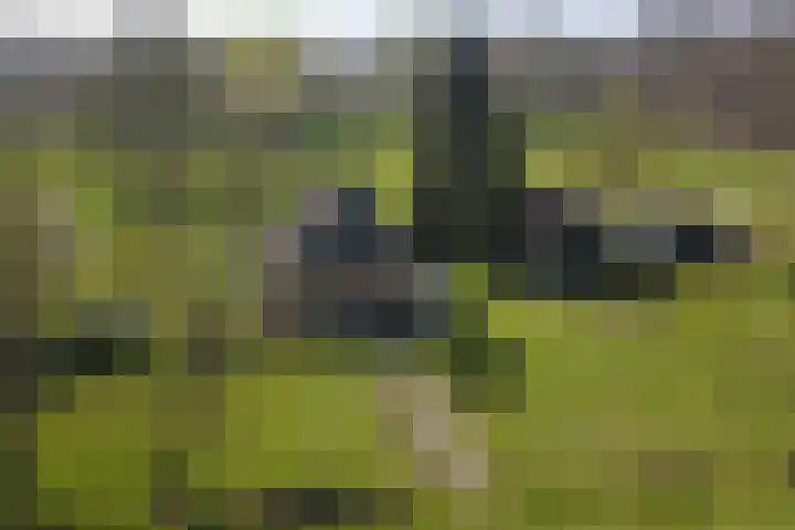 Wiersserbroekweg 2 Vorden thumbnail 54