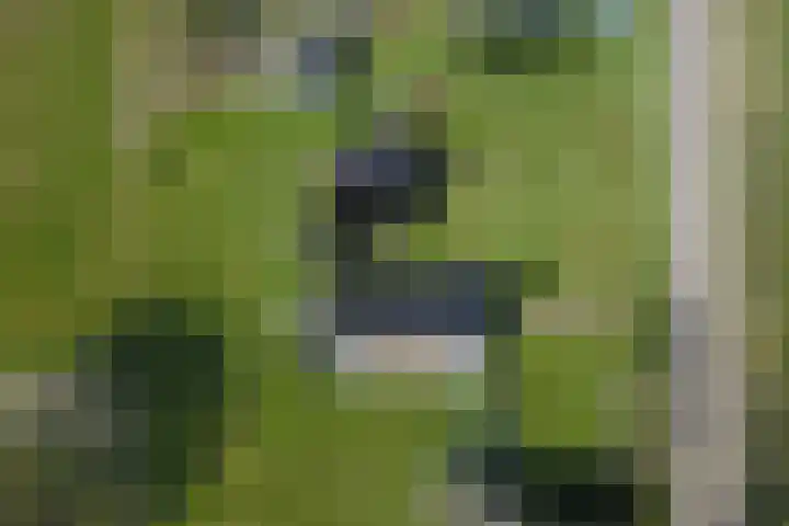 Wiersserbroekweg 2 Vorden thumbnail 55