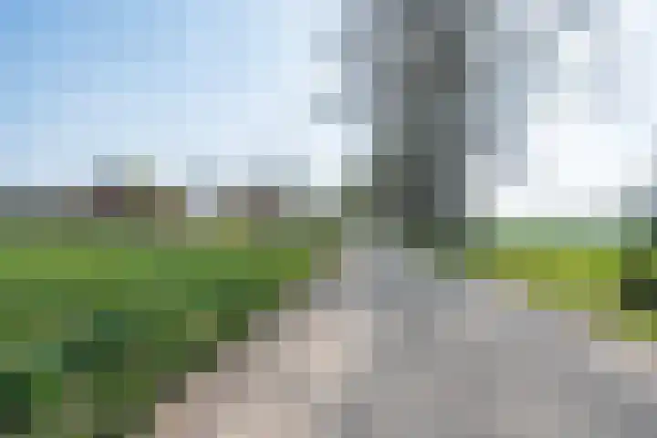 Wiersserbroekweg 2 Vorden thumbnail 6