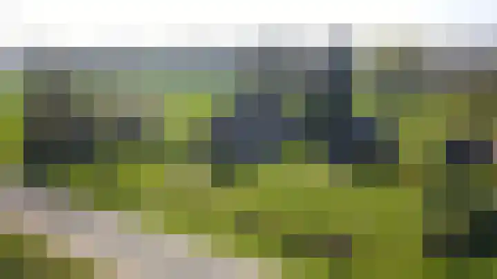 Wiersserbroekweg 2 Vorden thumbnail 66