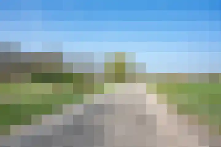 Wiersserbroekweg 2 Vorden thumbnail 8