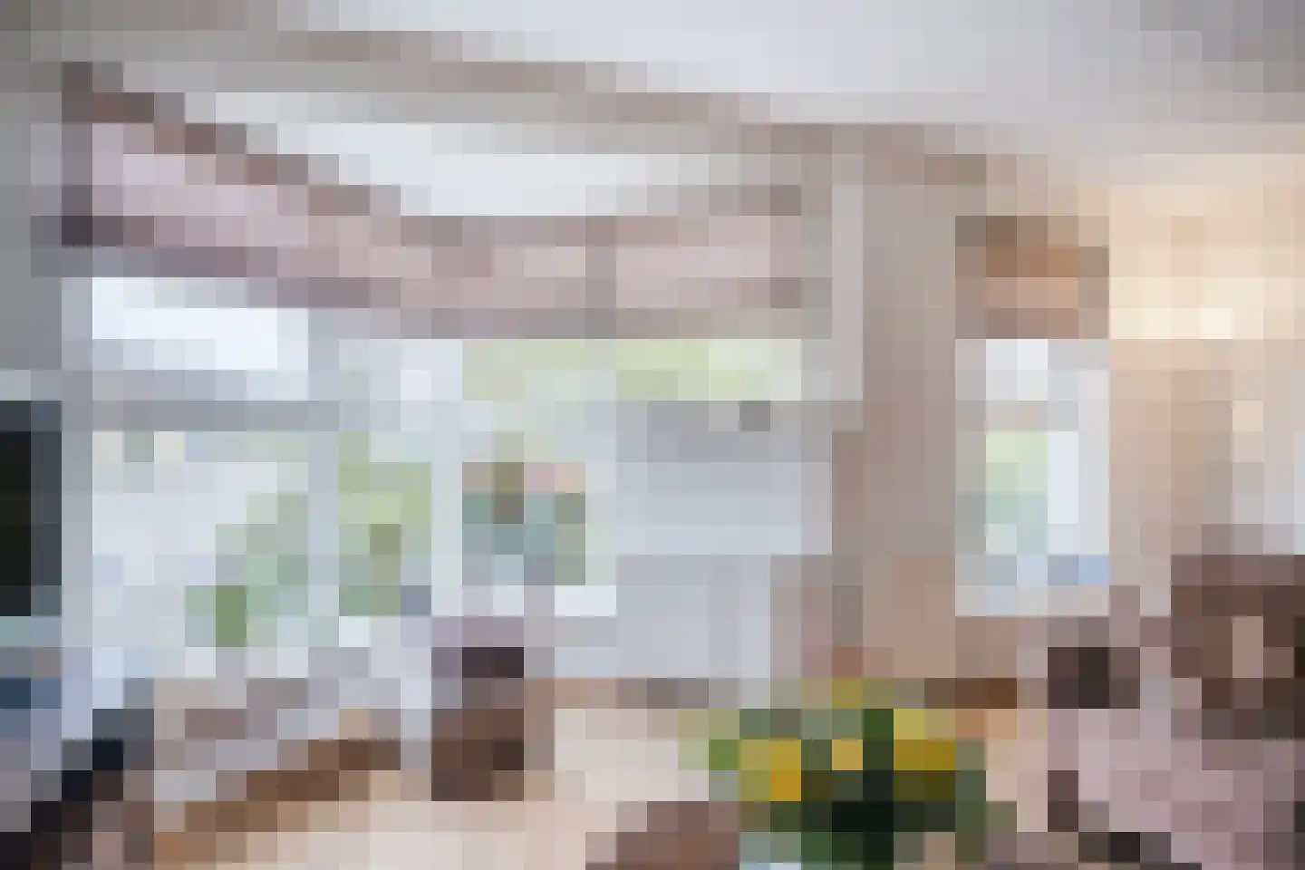 Wiersseweg 2 b Ruurlo thumbnail 12