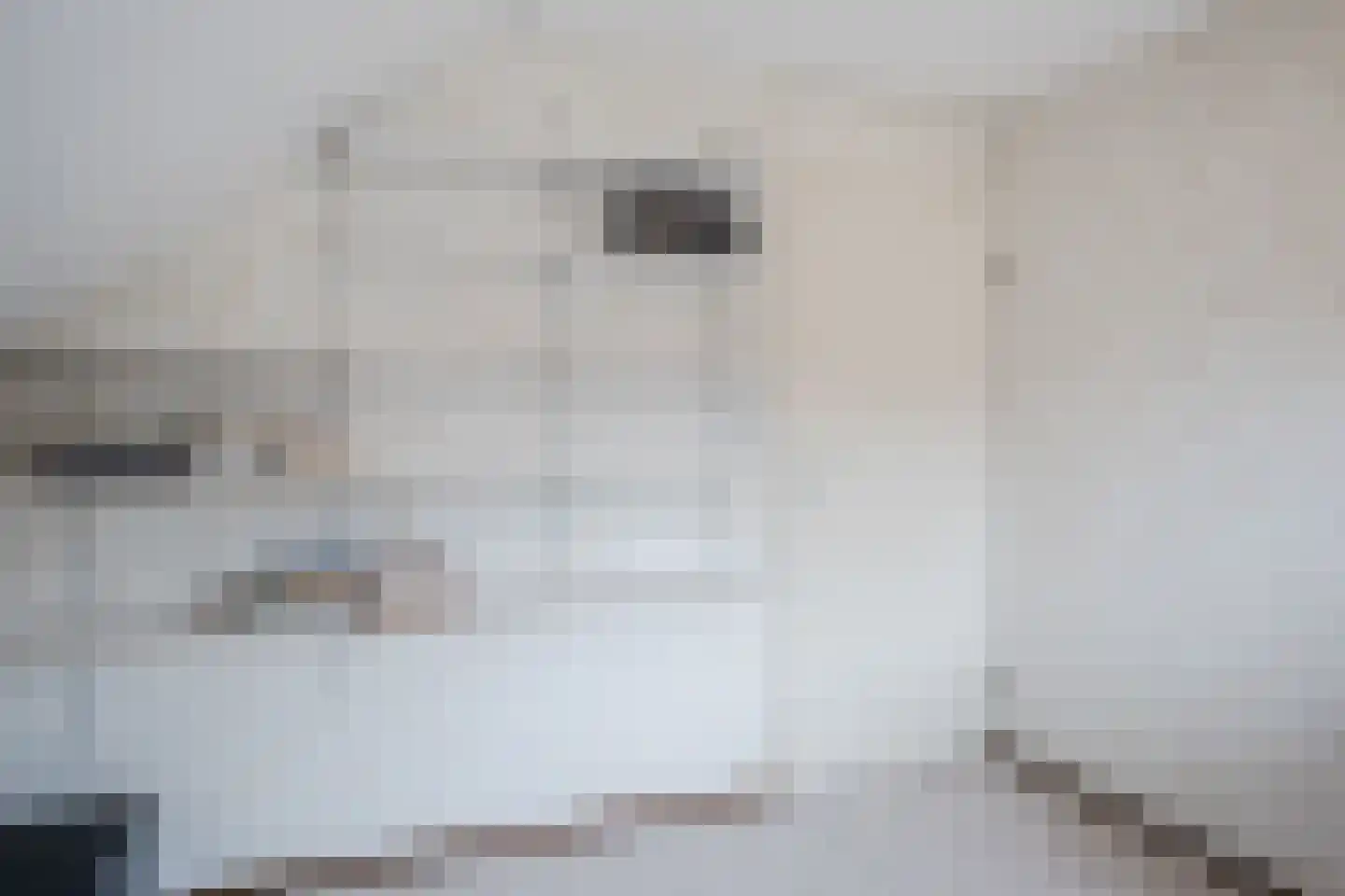 Wiersseweg 2 b Ruurlo thumbnail 33