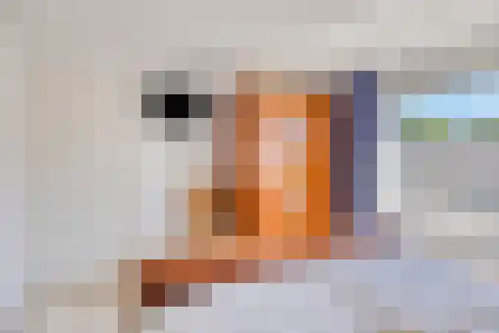 Wiersseweg 2 c Ruurlo thumbnail 27