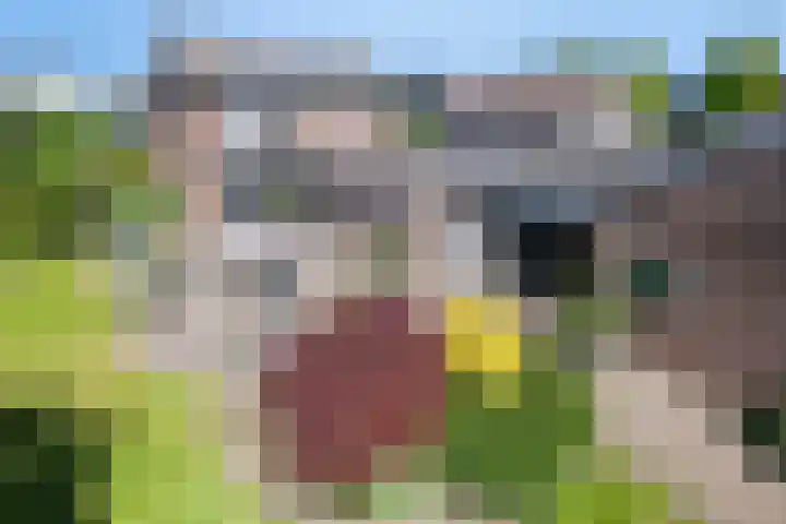 Wiersseweg 2 c Ruurlo thumbnail 35