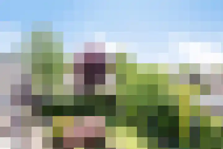 Wiersseweg 2 c Ruurlo thumbnail 36