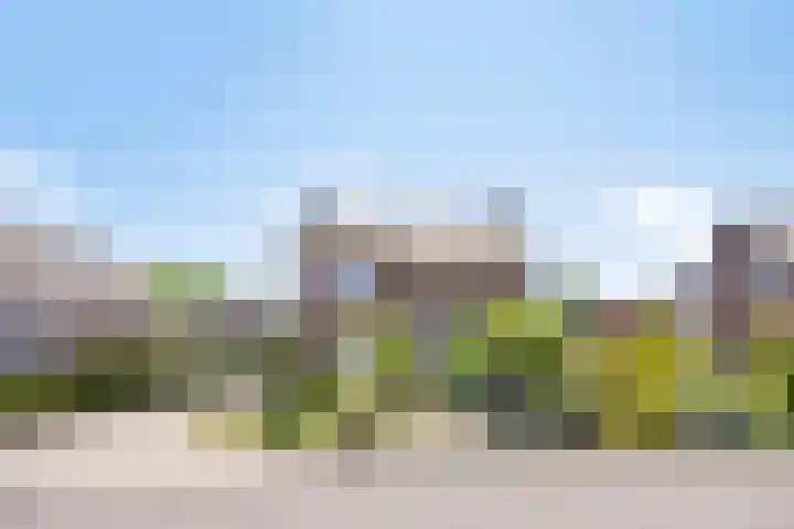 Wiersseweg 2 c Ruurlo thumbnail 38
