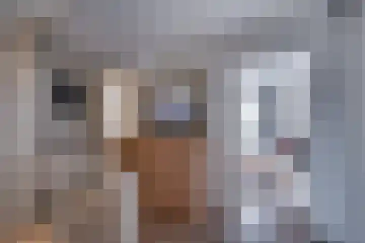Wiersseweg 21 Ruurlo thumbnail 16
