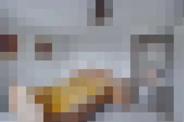 Wiersseweg 21 Ruurlo thumbnail 17