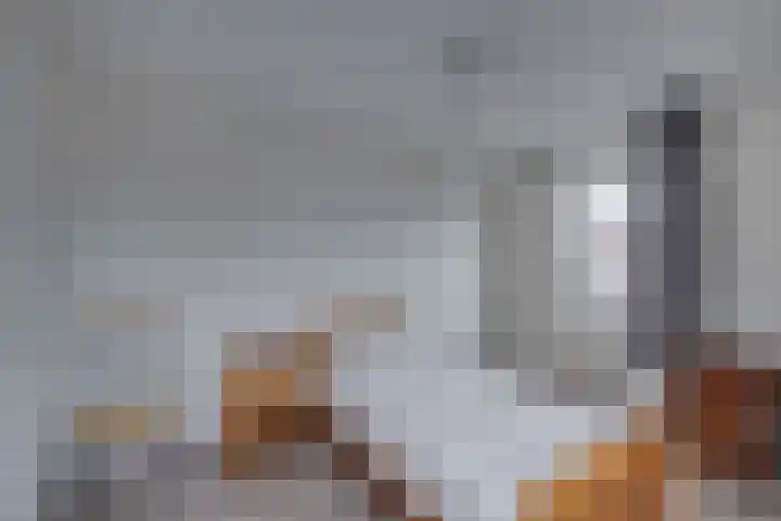 Wiersseweg 21 Ruurlo thumbnail 18