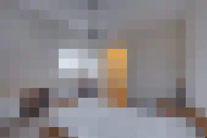 Wiersseweg 21 Ruurlo thumbnail 19