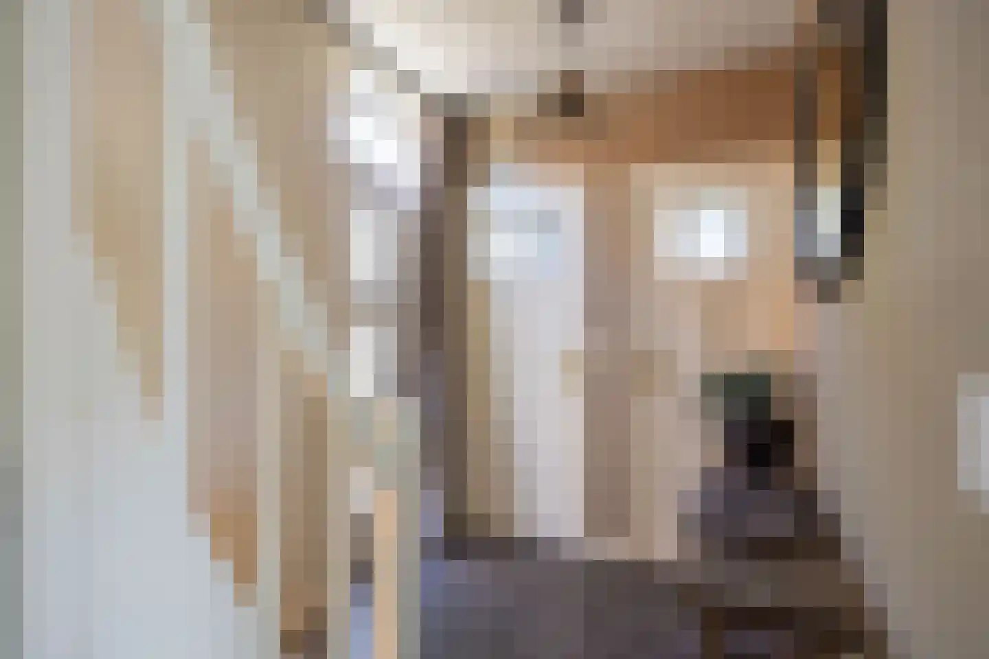 Wierumerschouwsterweg 6 Adorp thumbnail 17