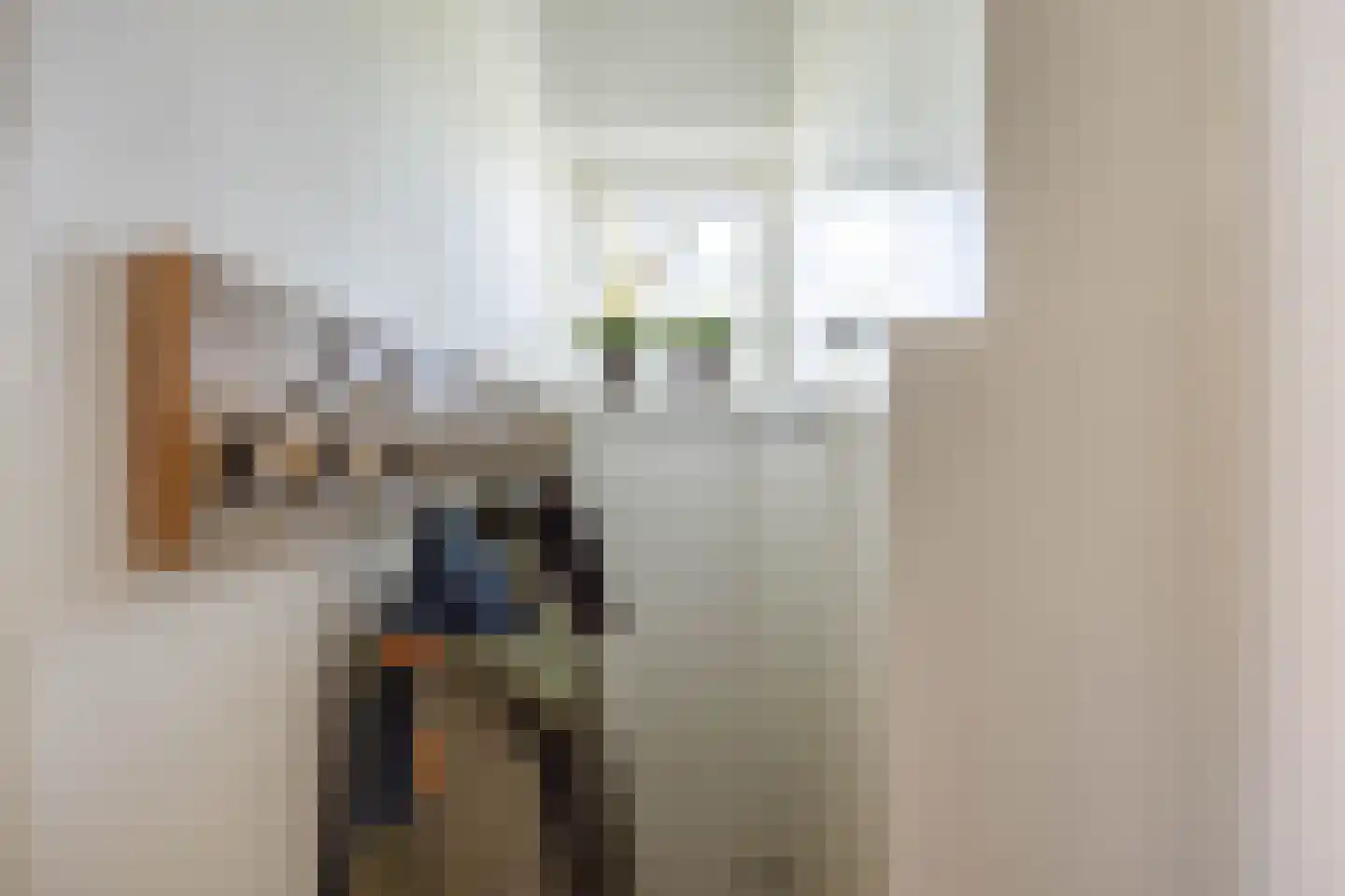 Wierumerschouwsterweg 6 Adorp thumbnail 20