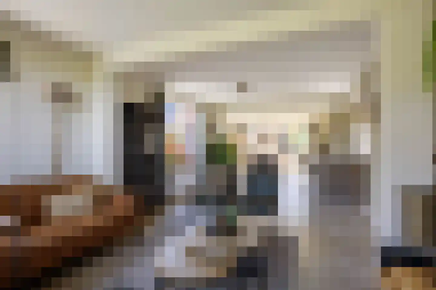 Wierumerschouwsterweg 6 Adorp thumbnail 23