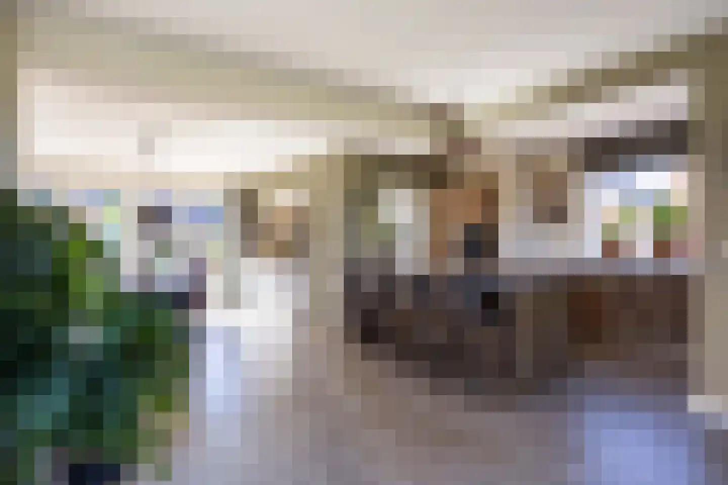 Wierumerschouwsterweg 6 Adorp thumbnail 25