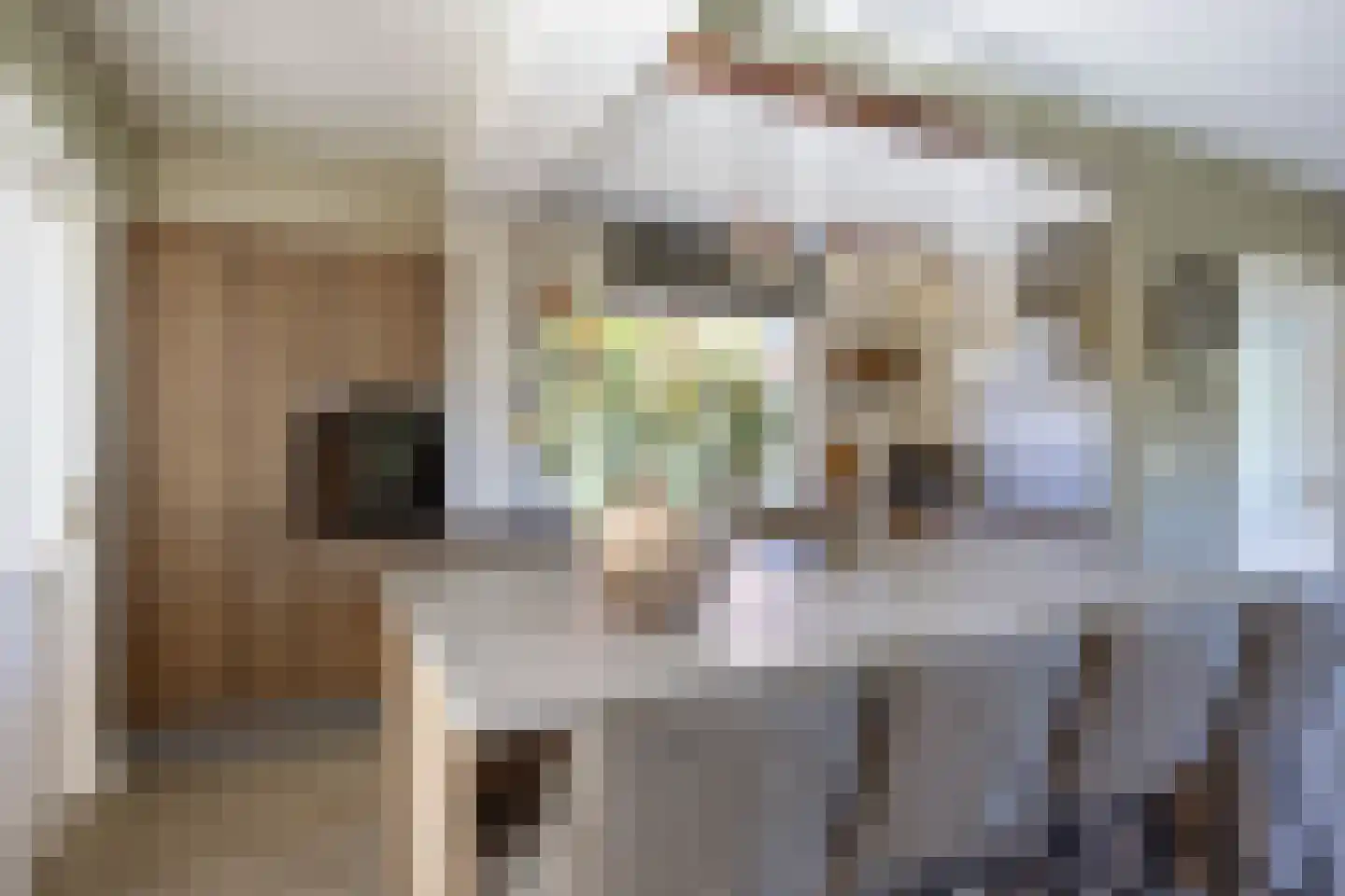Wierumerschouwsterweg 6 Adorp thumbnail 27
