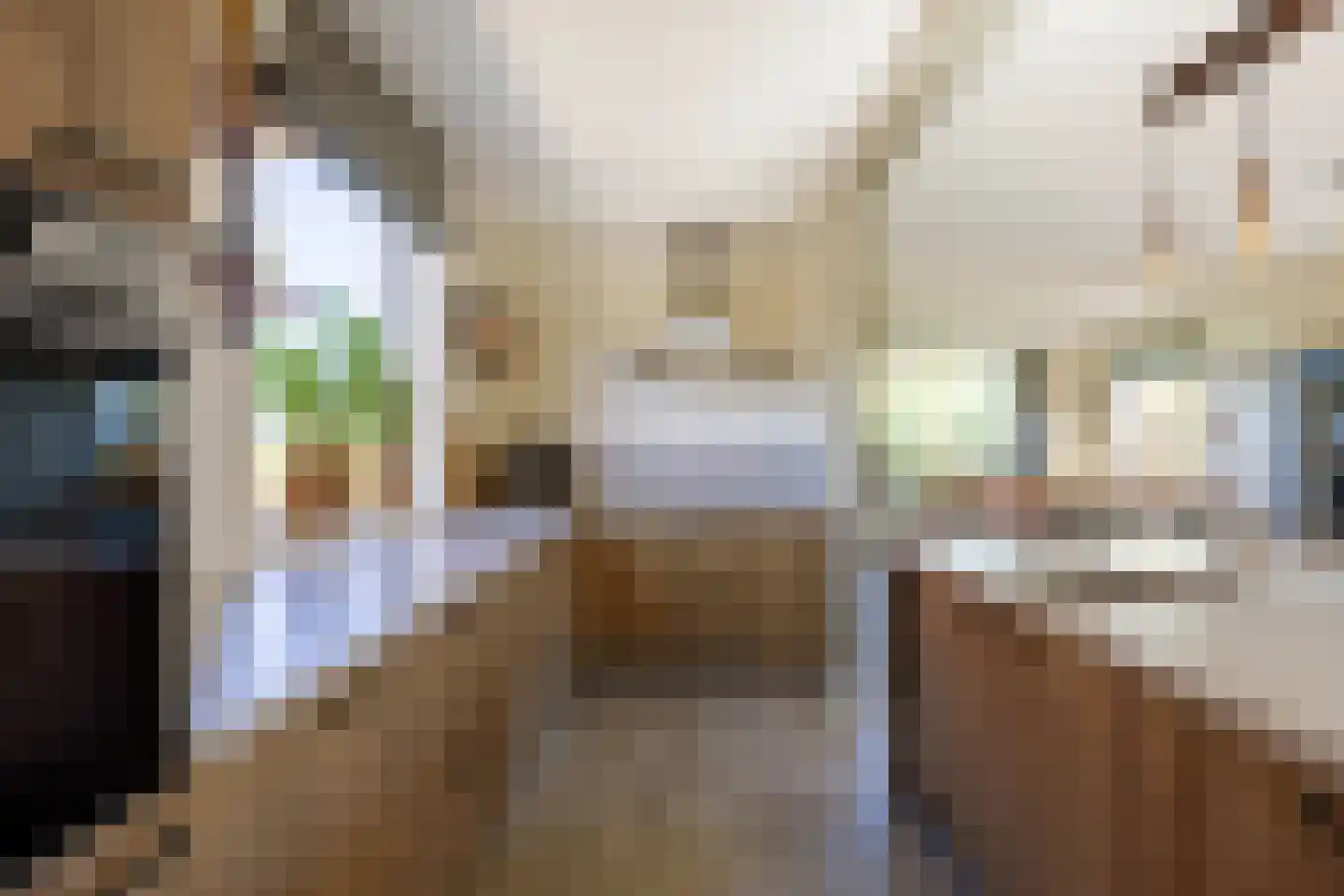 Wierumerschouwsterweg 6 Adorp thumbnail 29