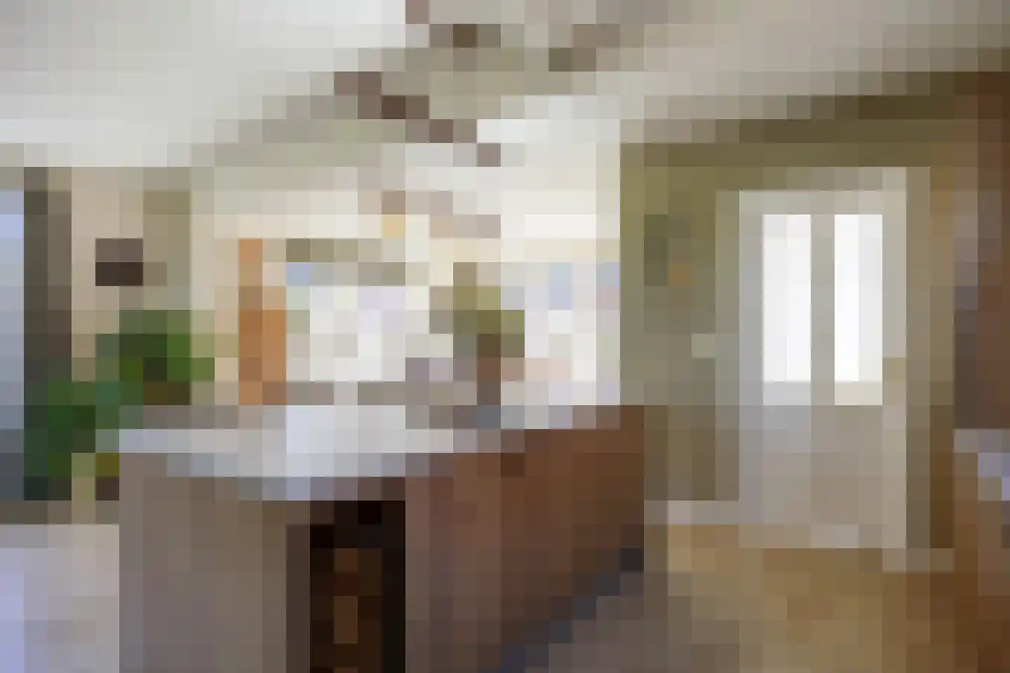 Wierumerschouwsterweg 6 Adorp thumbnail 31