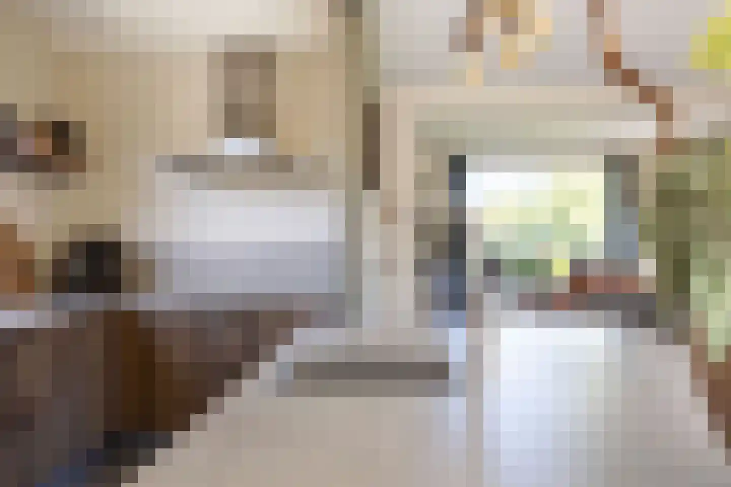 Wierumerschouwsterweg 6 Adorp thumbnail 32