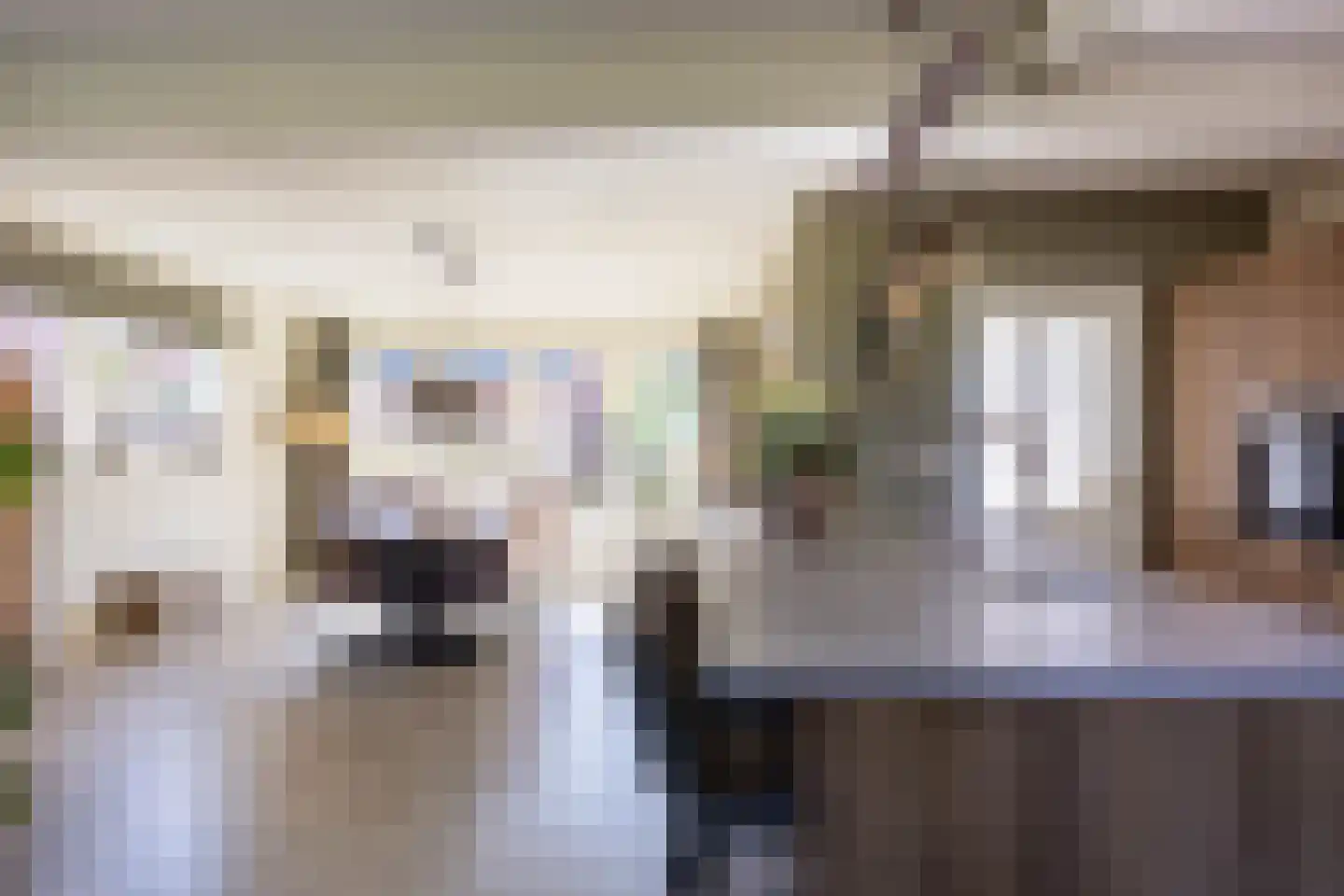 Wierumerschouwsterweg 6 Adorp thumbnail 33