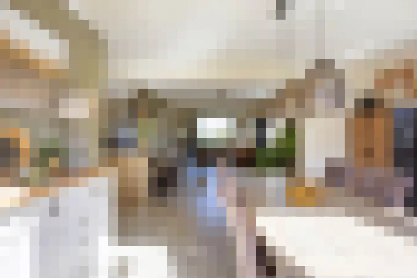 Wierumerschouwsterweg 6 Adorp thumbnail 35