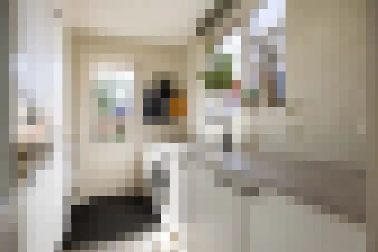 Wierumerschouwsterweg 6 Adorp thumbnail 37