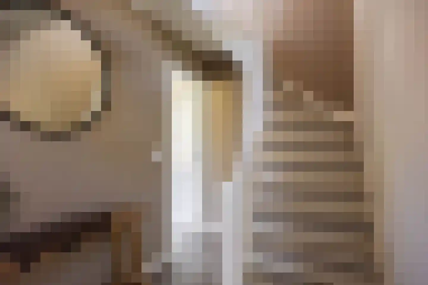 Wierumerschouwsterweg 6 Adorp thumbnail 38