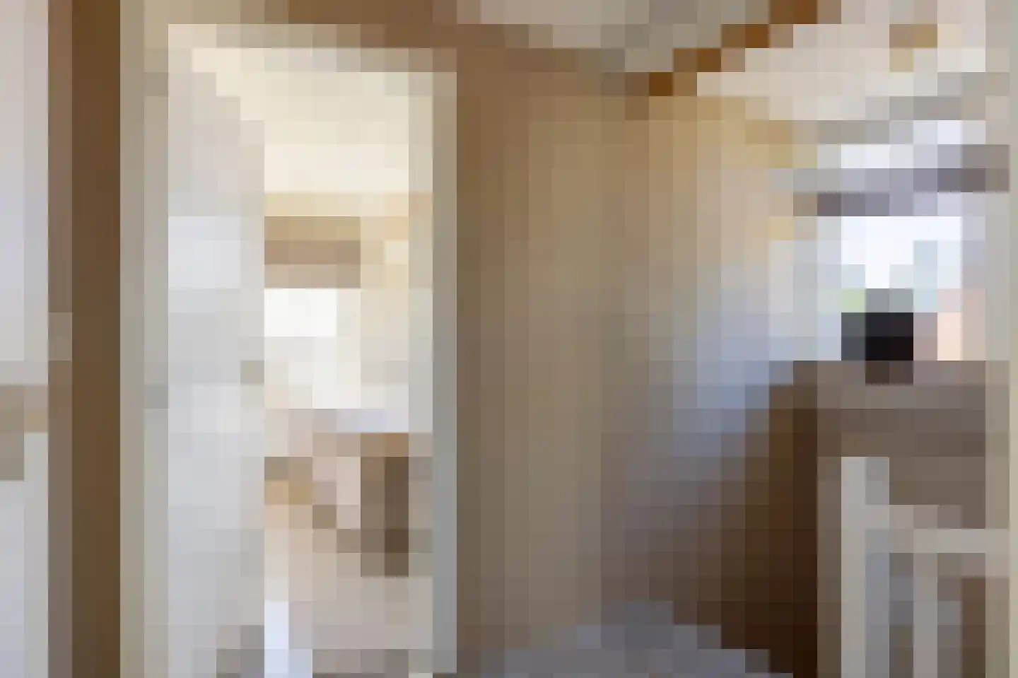 Wierumerschouwsterweg 6 Adorp thumbnail 39