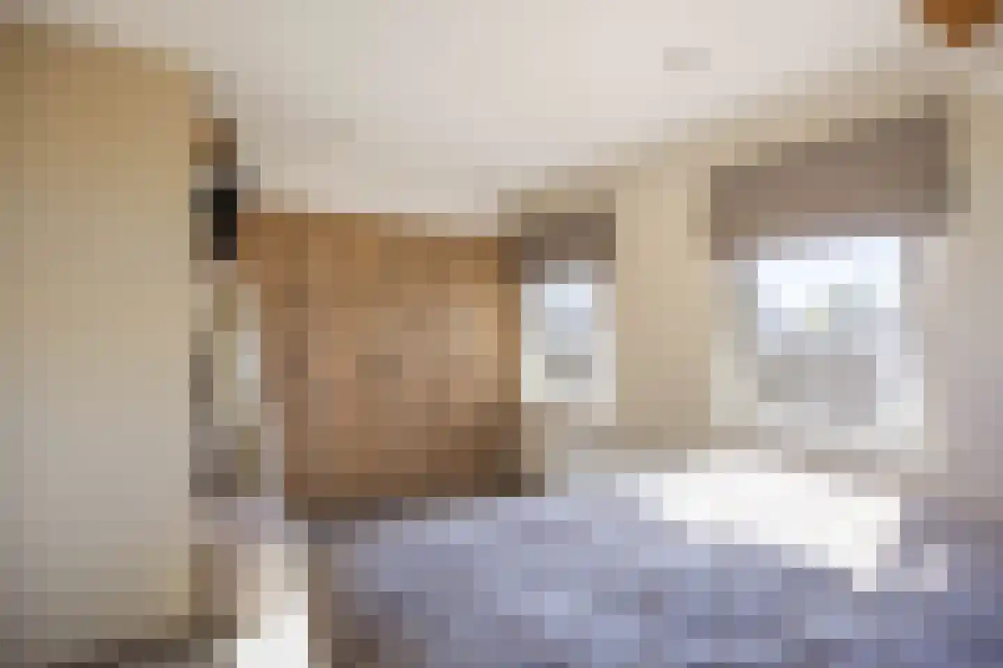 Wierumerschouwsterweg 6 Adorp thumbnail 40