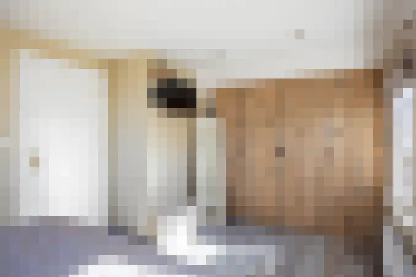 Wierumerschouwsterweg 6 Adorp thumbnail 41