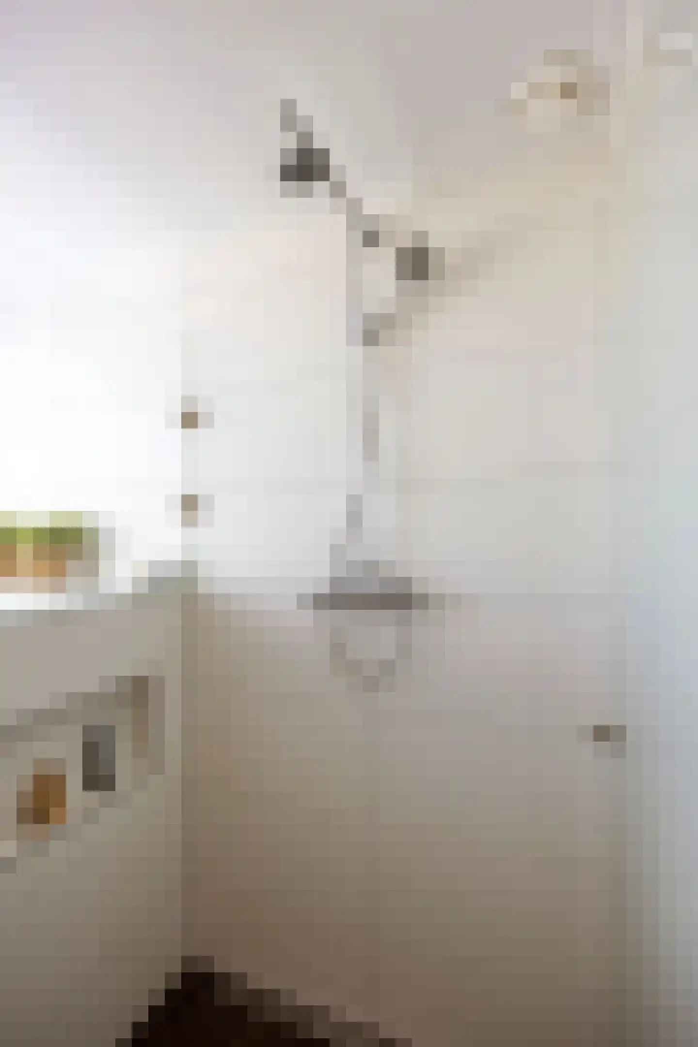Wierumerschouwsterweg 6 Adorp thumbnail 45