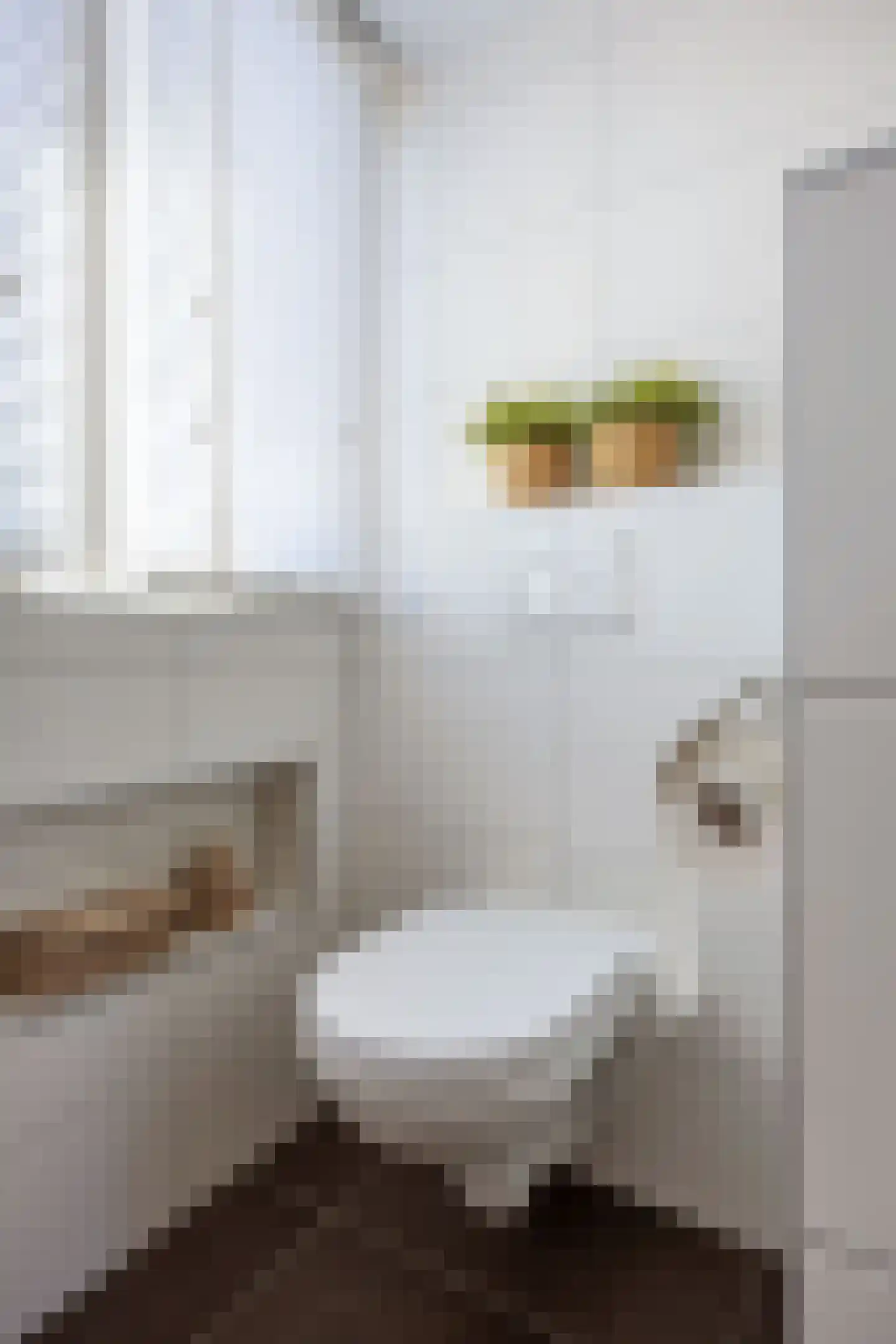 Wierumerschouwsterweg 6 Adorp thumbnail 46