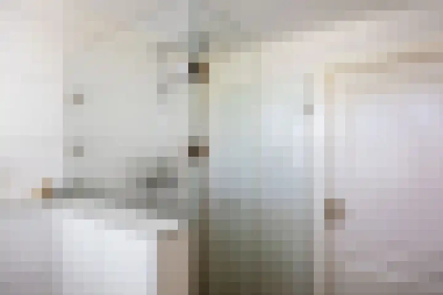 Wierumerschouwsterweg 6 Adorp thumbnail 48