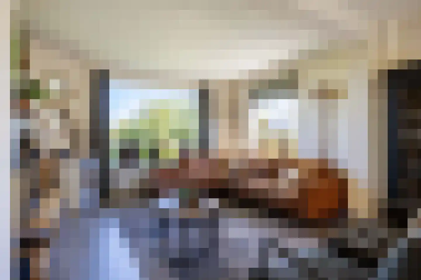 Wierumerschouwsterweg 6 Adorp thumbnail 5