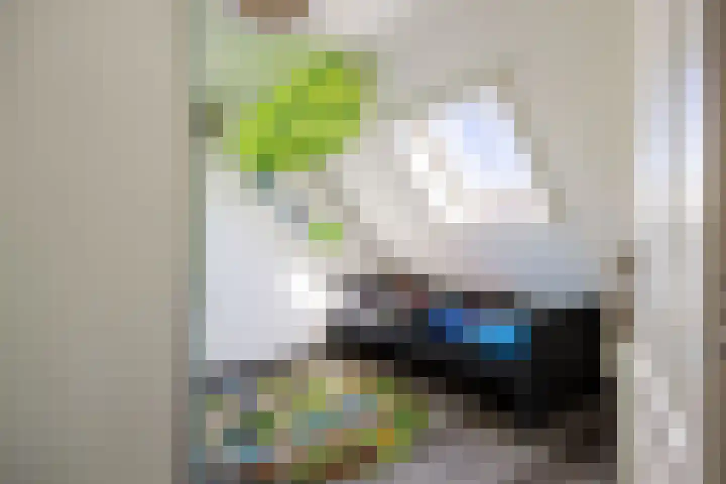 Wierumerschouwsterweg 6 Adorp thumbnail 50