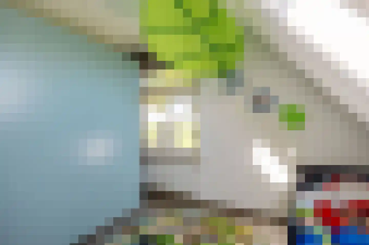 Wierumerschouwsterweg 6 Adorp thumbnail 51